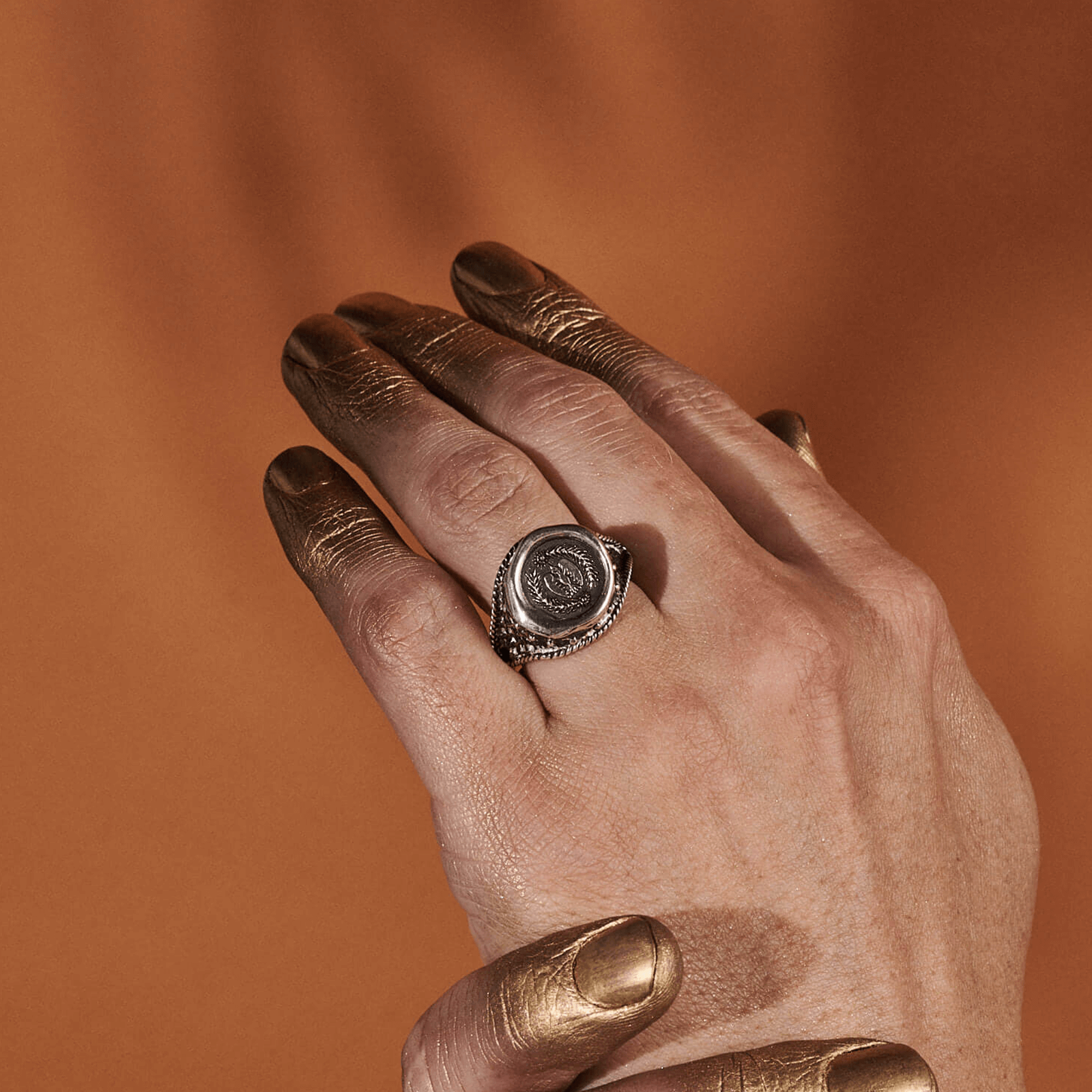 The Shield Of Stars Sovereign Ring